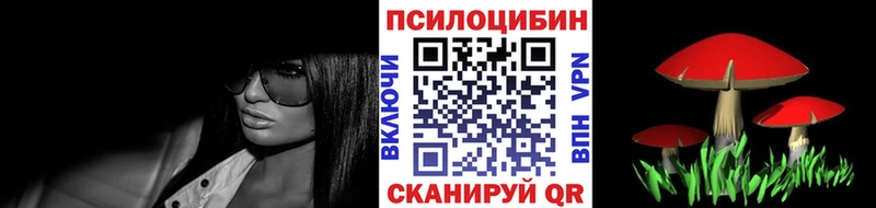 Псилоцибиновые грибы Cubensis  где продают наркотики  мега ссылки  Валдай 